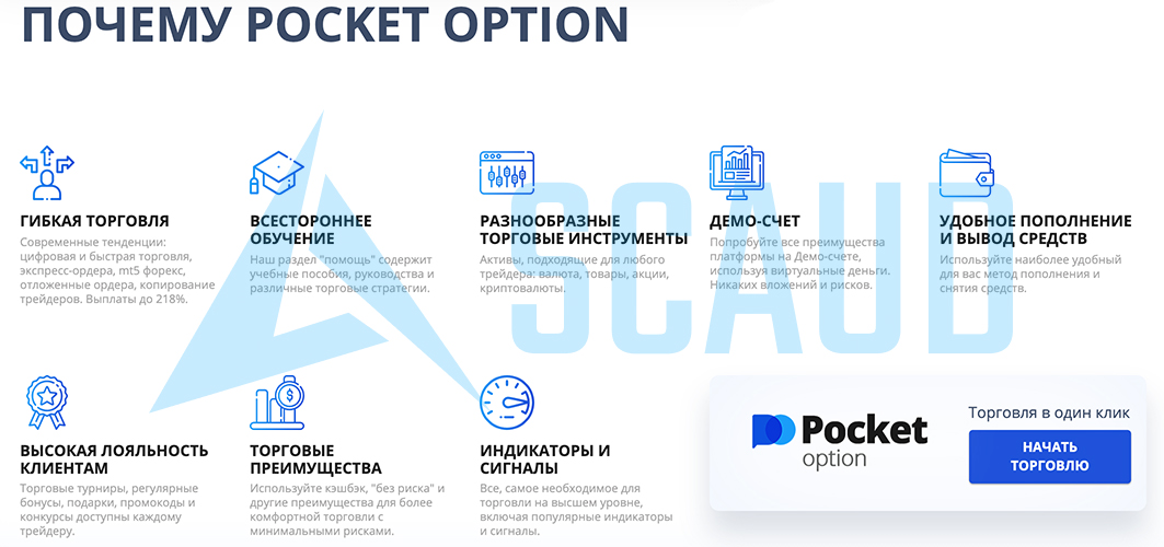 Pocket Option, Фото № 2 - b-visor.com